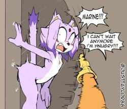 blaze_the_cat blushing bodily_fluids breasts cat dildo embarrassed embarrassed_nude_female feline female fur furry justtaylor marine_the_raccoon mobian_(species) nipples nude nude_female pussy shower showering small_breasts sonic_(series) sonic_the_hedgehog_(series) thick_thighs untied_hair wet wet_body