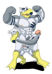 anthro avian ayden_(brogulls) bailey_(brogulls) balls bird brothers duo gay incest male muscular penis seagull siblings thedirtyshark yaoi