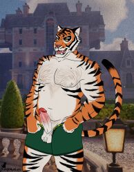 anthro ball_tuft balls belly birthmark body_hair chest_hair epic_games erection exhibitionism exposed felid foreskin fortnite genitals hi_res male male_only mammal markings nipples orangemaniacc oscar_(fortnite) pantherine pecs penis presenting pubes slightly_chubby solo stripes tiger tuft vein veiny_penis