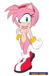 amy_rose anthro breasts clothing female gloves green_eyes hedgehog looking_at_viewer mammal nipples nude pussy simple_background smile solo sonic_(series) sonic_x video_games zerotoons