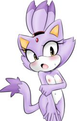 2017 anthro blaze_the_cat blush breasts felid feline felis female flat_chested fur furry furry_only hair hearlesssoul mammal naked navel nipples nude open_mouth popon13 pussy solo sonic_(series) standing tail tongue