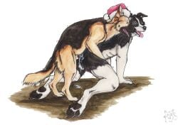 2016 all_fours anal anal_knotting anal_sex anthro anthro_on_feral anthro_penetrated artist_logo balls black_body black_fur black_nose black_pawpads blue_eyes border_collie canid canine canis collie dated doggy_style domestic_dog duo feral feral_penetrating feral_penetrating_anthro from_behind_position fur genitals german_shepherd herding_dog knotting kola_(artist) logo male male/male male_penetrated male_penetrating male_penetrating_male mammal nude open_mouth painting_(artwork) pastoral_dog pawpads penetration penile penile_penetration penis penis_in_ass sex sheepdog signature tan_body tan_fur traditional_media_(artwork) watercolor_(artwork) white_balls white_body white_fur yellow_eyes zoophilia