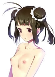 absurdres antenna_hair blush breasts brown_eyes brown_hair double_bun female gaou highres kantai_collection matsui_hiroaki naka_(kantai_collection) nipples nude short_hair simple_background sketch small_breasts solo white_background