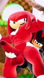 3d 3d_animation anal anal_sex animated big_butt big_penis burstingseas furry gay gay_sex knuckles_the_echidna male male/male male_only mobian mobian_(species) mobian_hedgehog shadow_the_hedgehog size_difference sonic_(series) sonic_the_hedgehog_(series) tagme video