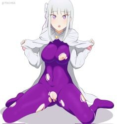 emilia (re:zero) from re:zero kara hajimeru isekai seikatsu by tdchss