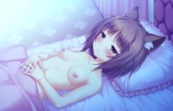 :< animal_ears azuki_(sayori) bed blush breasts brown_eyes brown_hair cat_ears female frilled_pillow frills game_cg lying naked_sheet nekopara nipples nude on_back pillow sayori short_hair slit_pupils small_breasts solo under_covers