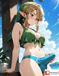link from nintendo