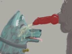 animal_genitalia animal_penis anthro balls bodily_fluids canid canine canine_genitalia canine_penis canis cum digital_media_(artwork) domestic_dog duo erection feral fur genital_fluids genital_piercing genitals hi_res knot knotted_penis male male/male mammal open_mouth peeing peeing_on_another peeing_on_face penile penis penis_piercing piercing prince_albert_piercing shadow_face sheath tongue tongue_out urine urine_on_face wafflsett watersports wolf