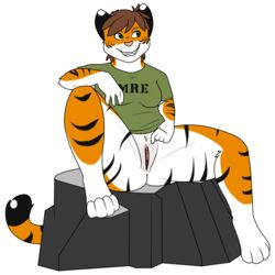 2017 anthro bottomless breasts brown_hair clitoral_hood clitoris clothed clothing exhibitionism feline female food fur furry furry_only green_eyes hair hi_res looking_aside mammal mre orange_fur os partially_clothed pink_nose pointing pussy rock shirt sitting smile solo suggestive t-shirt tail tiger topwear white_fur