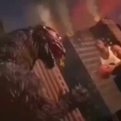 bait godzilla_(series) huge_ass meme mothra shitpost tagme video voice_acted