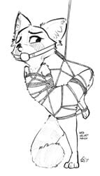 2017 alec8ter anthro arms_behind_back arms_tied ball_gag black_and_white blush bondage bound disney english_text fan_character female femsub flat_chest fully_bound gag gagged hands_behind_back inner_ear_fluff legs_tied mammal monochrome nude one_eye_closed pussy raised_leg red_panda rope rope_bondage rope_harness signature simple_background solo text white_background zootopia