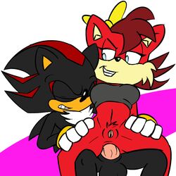 anal anal_penetration anal_sex balls black_fur blue_eyes closed_eyes fiona_fox fourball gloves grins penis pussy red_fur shadow_the_hedgehog sonic_(series) tan_fur top yellow_bow