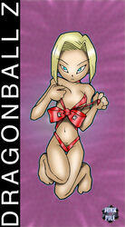 android_18 dragon_ball dragon_ball_z junk_pile straight_hair tagme