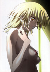 1girls blonde_hair breasts bust cagalli_yula_athha cameltoe female flower gundam gundam_seed highres human kawarajima_kou large_breasts midriff nipples panties perky_breasts short_hair solo tail topless underwear yellow_eyes