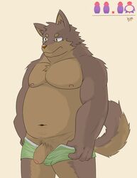 anthro boxers_(clothing) brown_eyes brown_fur canine clothing flaccid fur hittoga humanoid_penis male male_only mammal navel nipples obese overweight partially_retracted_foreskin penis pubes retracted_foreskin uncut underwear