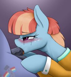 2017 anearbyanimal blush bow_hothoof_(mlp) clothed clothing cutie_mark duo equine faceless_male fellatio_from_feral feral friendship_is_magic hair horse male mammal multicolored_hair my_little_pony oral pony purple_eyes runny_makeup sex solo_focus two_tone_hair vein windy_whistles_(mlp)