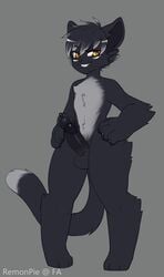 2017 anthro balls black_fur erection feline fur hair humanoid_penis male male_only mammal panther penis remonpie rook_(greyrook) simple_background smile solo yellow_eyes