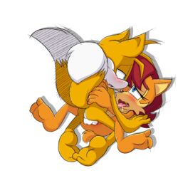 nipple penis pussy sally_acorn sonic_(series) tails vaginal_penetration zkh59