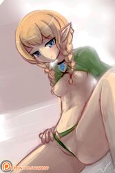 linkle from hyrule warriors by lumineko