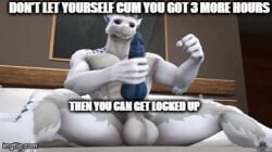 3d animal_genitalia ballbusting_orgasm ballsack connivingrat edging furry male_only masturbation orgasm_denial