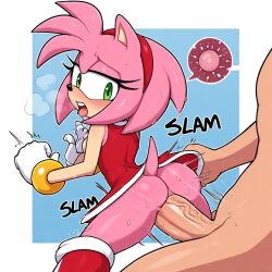 amy rose from sonic (series)