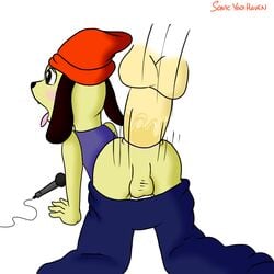 anthro beanie blush canine furry hat lying male mammal microphone missionary_position on_back parappa parappa_the_rapper sex sonicyaoihaven yaoi