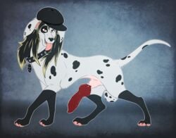 2017 4_toes anatomically_correct animal_genitalia ashley balls canine claws collar dalmatian digitigrade erection fangs feral fur furry girly hair hat hi_res male male_only mammal open_mouth pawpads paws penis psy101 simple_background smile solo solo_male spots spotted_fur tag tag_collar toes tongue tongue_out white_fur