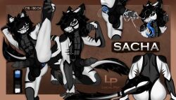 7:4 absurd_res hi_res local_pep model_sheet nardoragon