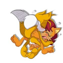 cum cum_in_pussy nipple penis pussy sally_acorn sonic_(series) tails vaginal_penetration zkh59