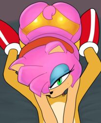 amy_rose ass deepthroat oral penis pov punkinillus sonic_(series) tails