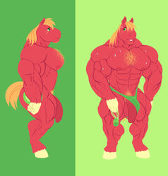 anthro big_macintosh_(mlp) equine flaccid friendship_is_magic furry horse male male_only mammal muscular my_little_pony nude penis ripped-saurian solo solo_male thong underwear