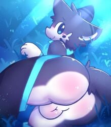 1boy anthro ass ass_focus backsack balls big_butt catboy clothed cool_colors cute detailed_background domestic_cat exposed_ass felid feline femboy furry grass gray_fur innocent laying_on_side looking_back_at_viewer outdoors presenting_hindquarters slight_blush smile solo starry_eyes tail two_tone_fur white_fur zaaru zaku_(zaaru)