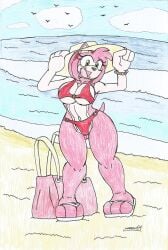 Sonic (Series) Rule 34 Image
