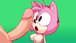 amy_rose breasts furry penis pink_hair sodajoik sonic_(series)