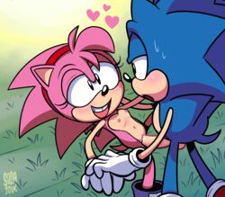 amy_rose furry hedgehog mammal nipples penetration penis pussy sex sodajoik sonic_(series) sonic_the_hedgehog