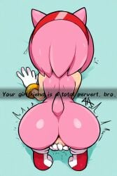 amy rose from sonic (series)