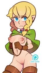 linkle from hyrule warriors by sadisticirony