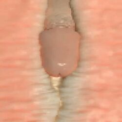 1boy 3d animated breasts female game_cg male milf model sex