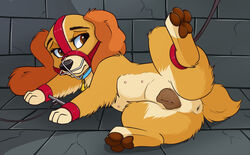 lady (lady and the tramp) from lady and the tramp by smitty g