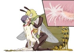 1boy animated bee cg_slideshow cum cum_in_pussy ejaculation erection game_cg honey long_tongue luka_(mon-musu_quest!) monster_girl monster_girl_quest penis sex tongue_out x-ray