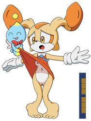 cream cream_the_rabbit furry lagomorph mammal rabbit sonic_(series) zerotoons