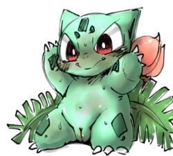 10s 1girls 2016 blush claws doneru female female_only feral flora_fauna green_body ivysaur looking_at_viewer nintendo nude plant pokemon pokemon_(species) pokemon_rgby pussy scalie simple_background solo standing sweat video_games white_background