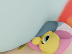 3d anatomically_correct anus ass equine facesitting fluttershy_(mlp) friendship_is_magic horse mammal my_little_pony puffy_anus rainbow_dash_(mlp) size_difference straight_hair thecomet