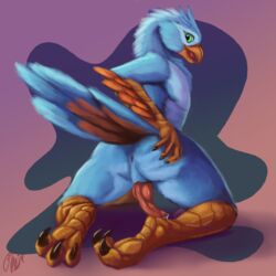 2017 animal_genitalia animal_penis anthro anus ass avian beak bird blue_feathers claws erection feathers green_eyes hi_res kneeling knot looking_at_viewer looking_back male male_only nude open_mouth orange_feathers penis phinja precum presenting presenting_hindquarters raised_tail rear_view saliva simple_background smile solo talons tongue