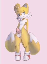 1male femboy naked tails tails tails_the_fox