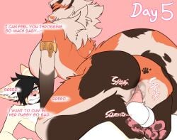 absurd_res anthro armband ass balls big_breasts big_butt black_hair blush bodily_fluids breasts cali_(nastycalamari) canid canine cowgirl_position dialogue domestic_cat dominant dominant_female duo erection feet felid feline felis female femboy femboy_on_female femboysub femdom fennec_fox fluffy fluffy_tail foot_on_balls footprint fox from_front_position fur genitals hair hair_over_eye hi_res holding_back_orgasm huge_breasts humanoid_genitalia humanoid_penis male male/female mammal markings mottled mottled_pawpads nastycalamari no_nut_november no_nut_sabotage on_bottom on_top open_mouth orange_body orange_fur pawpads pawprint pawprint_(marking) penetration penile penile_penetration penis penis_in_pussy resisting_orgasm sex sweat sweatdrop tail tan_body tan_fur text true_fox trying_not_to_cum vaginal_penetration werecat werecreature werefelid werefeline