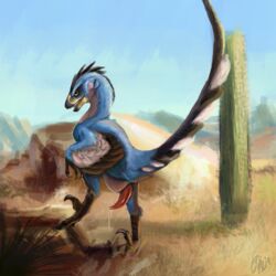 2017 animal_genitalia animal_penis avian beak black_feathers blue_feathers cactus claws desert detailed_background dinosaur dromaeosaur erection evil_grin feathered_arms feathered_wings feathers feral looking_at_viewer male male_only nude open_mouth outside penis phinja precum sand sky smile solo teeth theropod tongue white_feathers wings