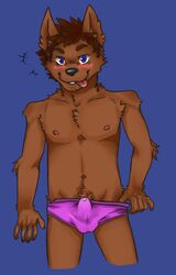 5_fingers anthro blush brown_fur brown_hair bulge canine clothing erection fur hair hotoshuken male male_only mammal nipples panties penis_outline precum precum_through_clothing simple_background solo underwear