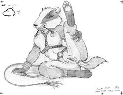 anthro anus ass badger bondage bondage bound breasts digitigrade dinah ear_piercing female james_m_hardiman mammal mustelid navel navel_piercing nipple_chain nipple_piercing nipples nude piercing pussy raised_leg sketch solo spread_legs spreading