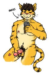 anthro balls blush brown_eyes brown_hair erection feline hair heart hotoshuken male male_only mammal nude phone precum pubes simple_background solo tiger whiskers